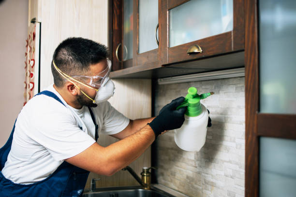 Wasp Removal Services in Fredericksburg, PA