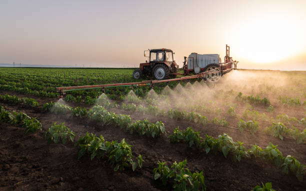 Best Commercial Pest Control Services  in Fredericksburg, PA