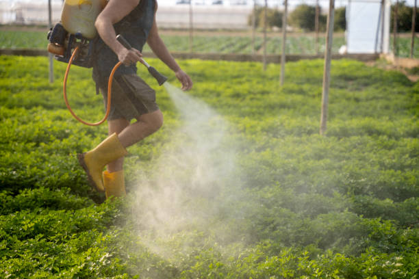 Best Affordable Pest Control Services  in Fredericksburg, PA