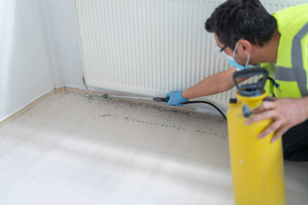 Best Flea Control Services  in Fredericksburg, PA